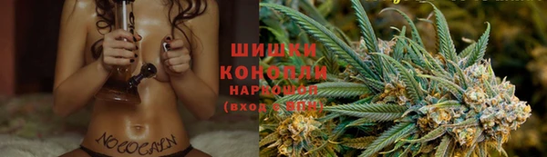 прущая мука Вяземский