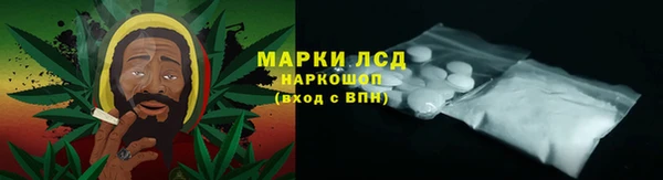 прущая мука Вяземский