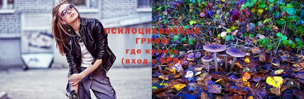 прущая мука Вяземский