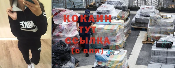 стаф Вязники