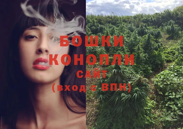 стаф Вязники