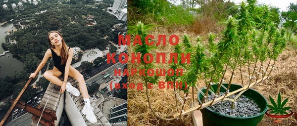 СК Вязьма