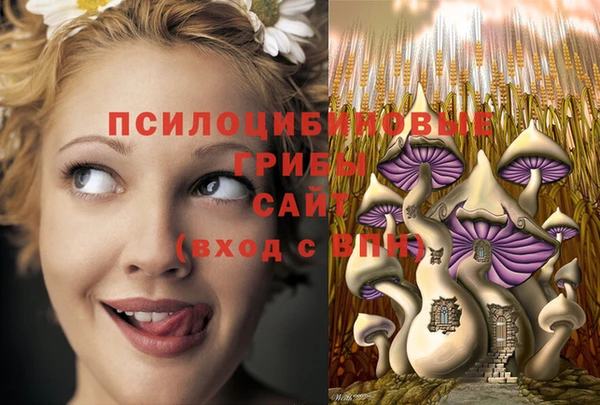 эйфоретик Горняк