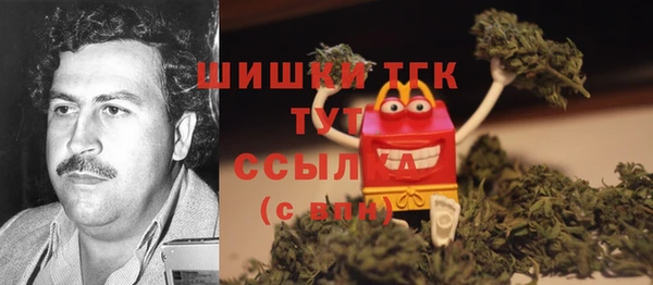 прущая мука Вяземский