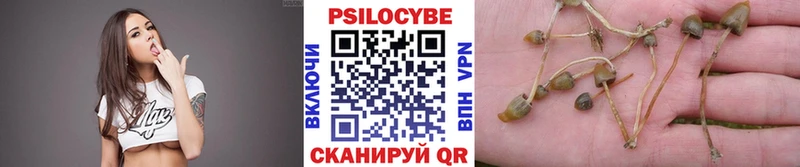 Галлюциногенные грибы мицелий  где продают   Зверево 